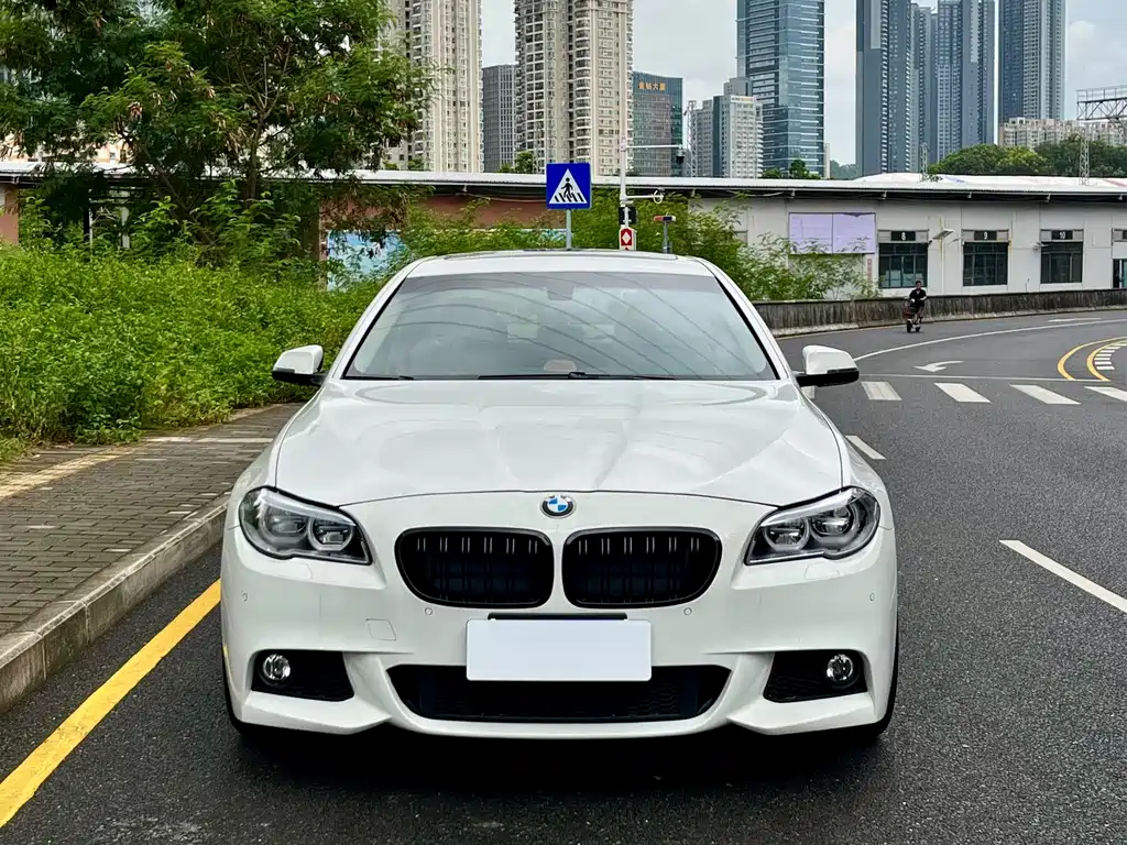 BMW 5 Series (Import) 535i Design Package Type, фото 2
