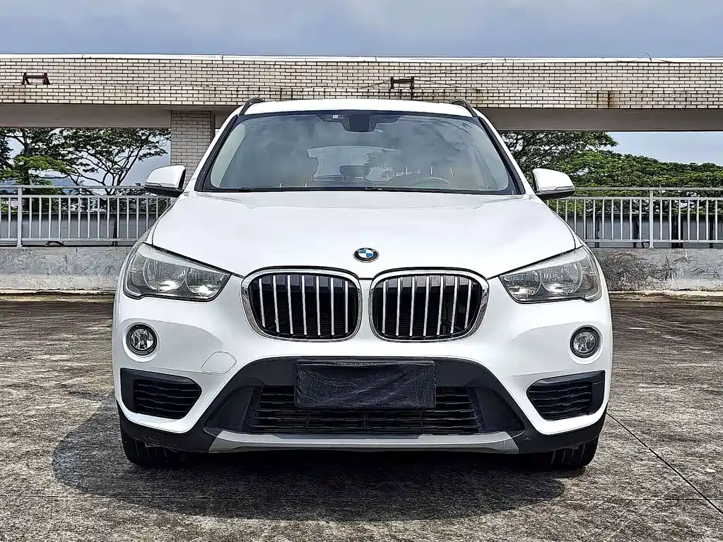 BMW X1 — миниатюра 2