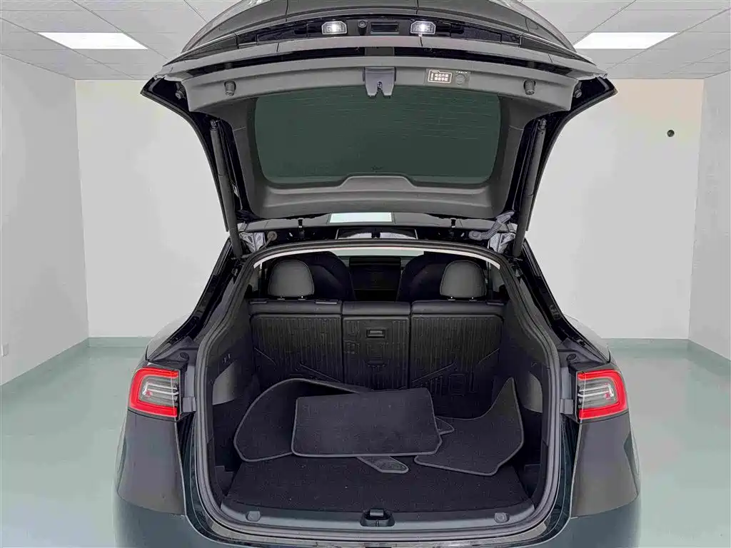 Tesla Model Y — миниатюра 15