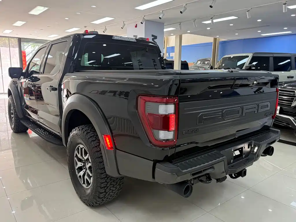 Ford F-150 Raptor — миниатюра 17