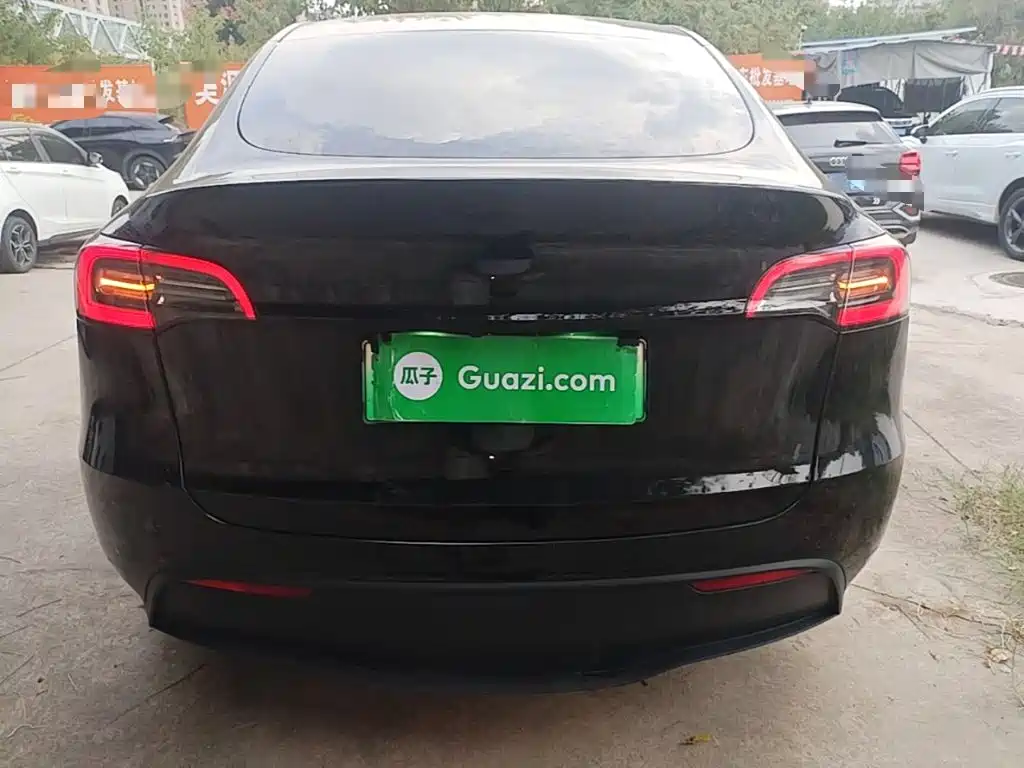 Tesla Model Y — миниатюра 6