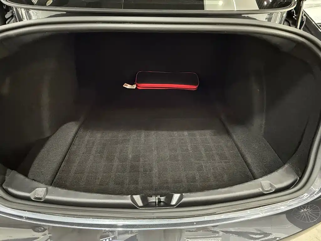 Tesla Model 3 — миниатюра 10