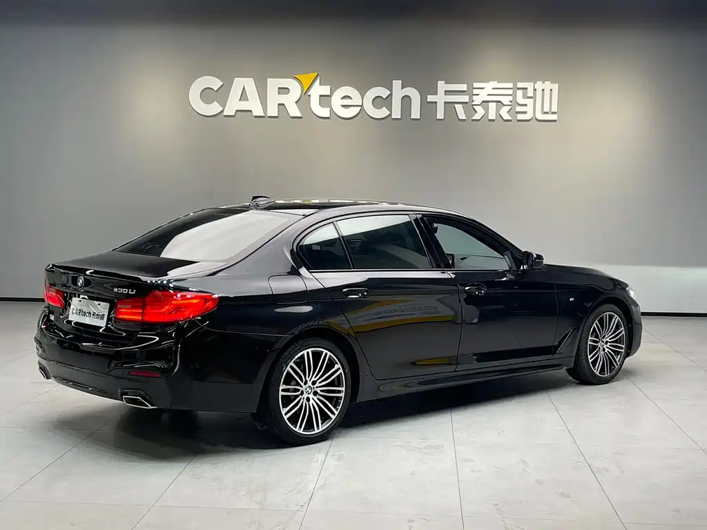 BMW 5 Series 5 2019 530Li Premium M Sport