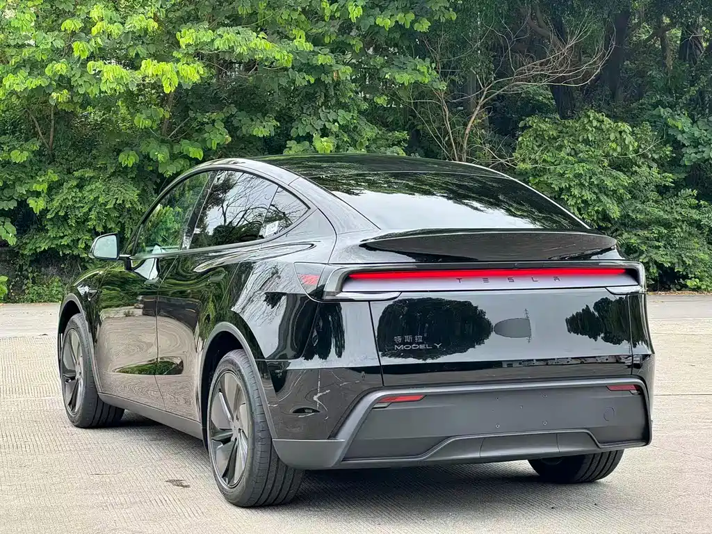 Tesla Model Y — фотографии объявления, Фото 14