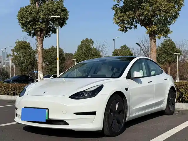 TESLA MODEL 3 2023