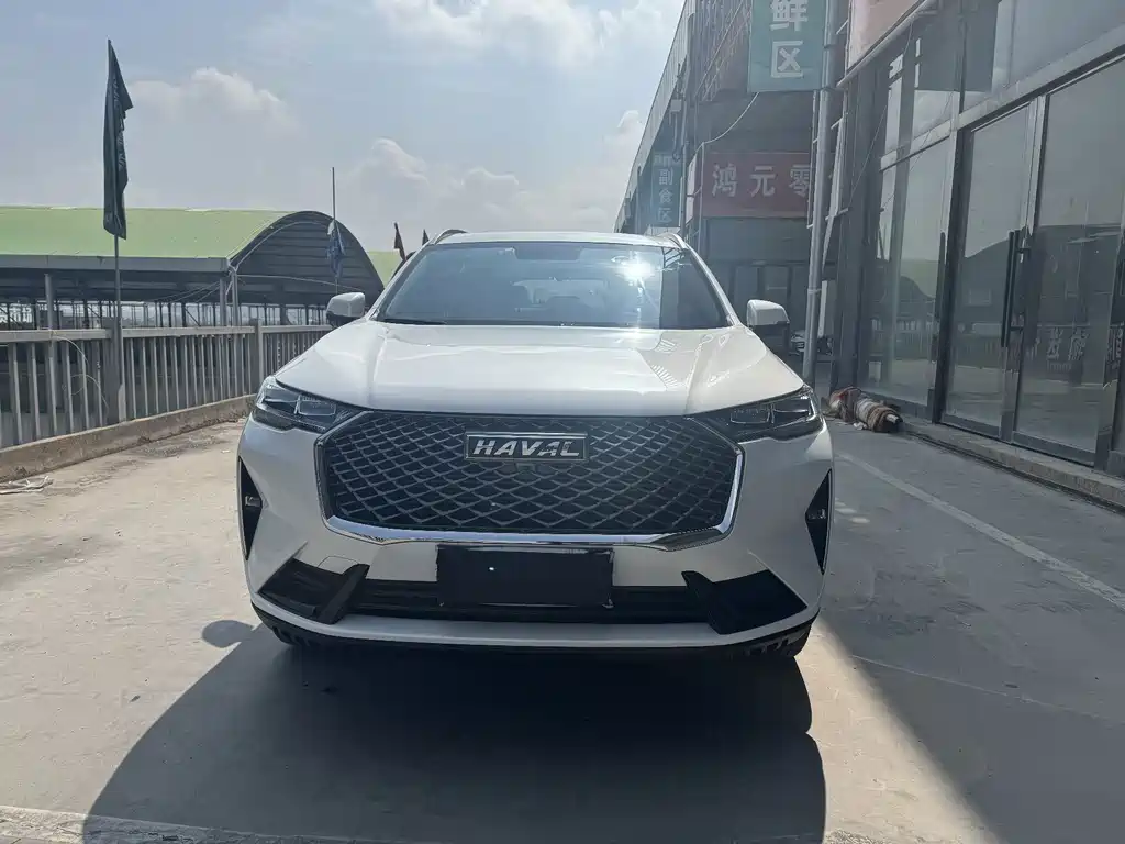 Haval H6 — миниатюра 2