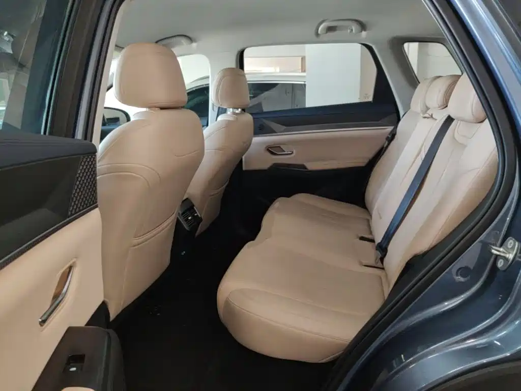 BYD Pro New Energy — миниатюра 17