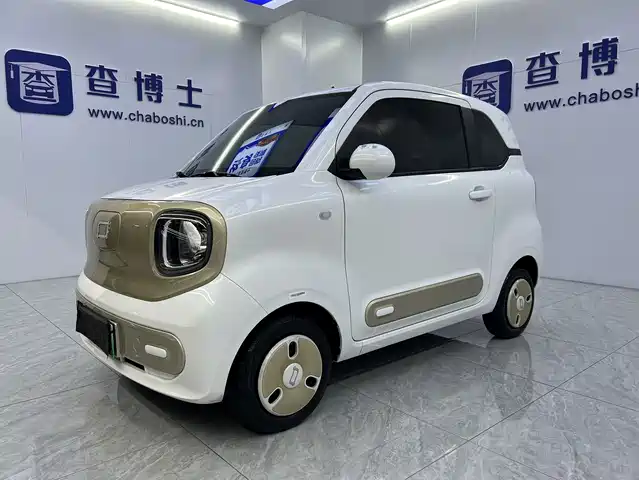 2024 Bestune Pony
