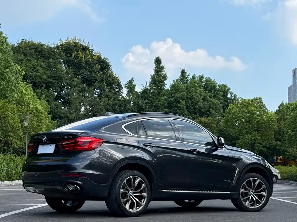 BMW X6 — миниатюра 4