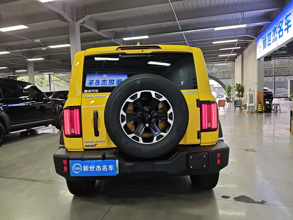 Tank Tank 300L New Energy — миниатюра 14