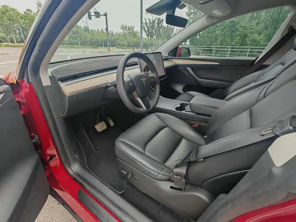 Tesla Model Y — миниатюра 4