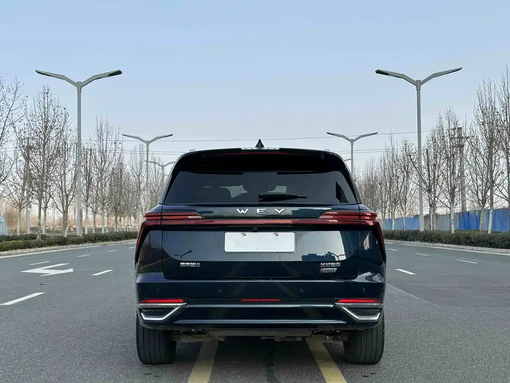 WEI PAI WEI BRAND BLUE MOUNTAIN