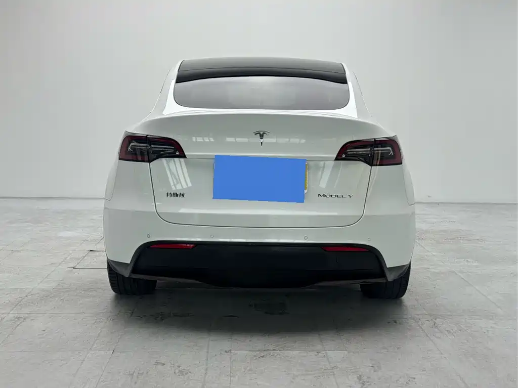 Tesla Model Y — миниатюра 3