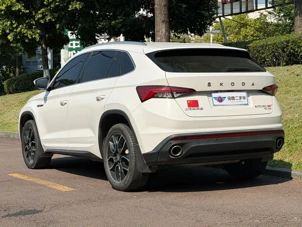 Skoda Kodiaq GT TSI330 2WD Luxury Edition China V, фото 4