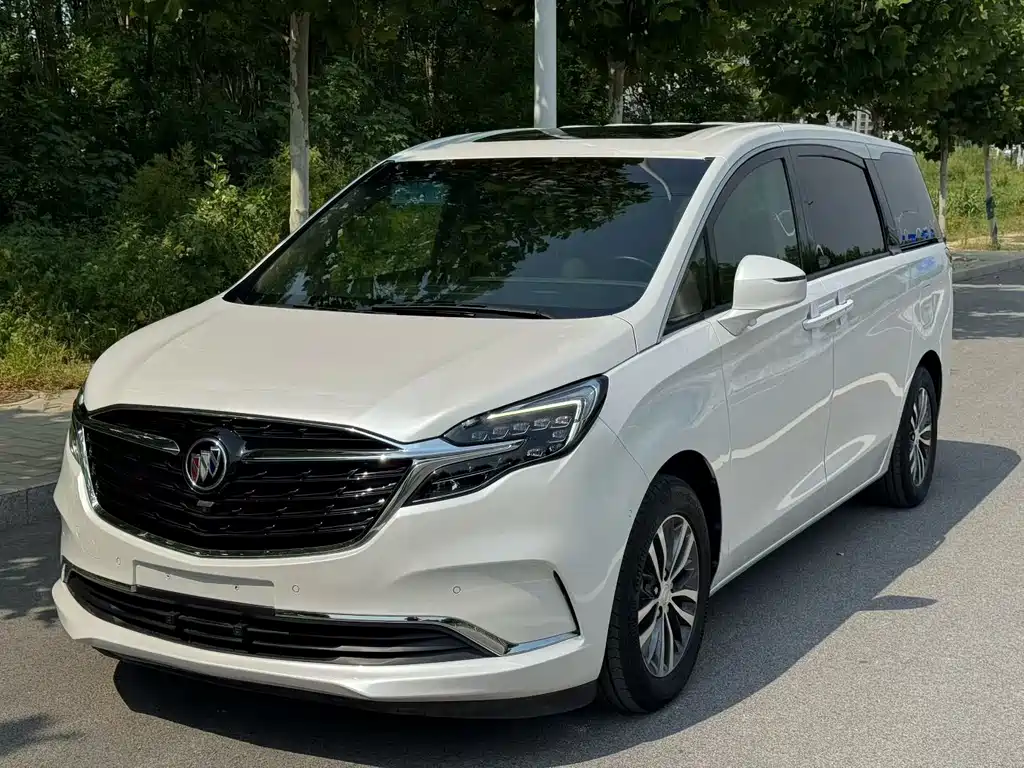 Buick GL8 — миниатюра 3