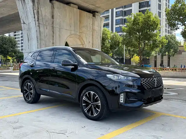 WEI PAI WEI BRAND VV6