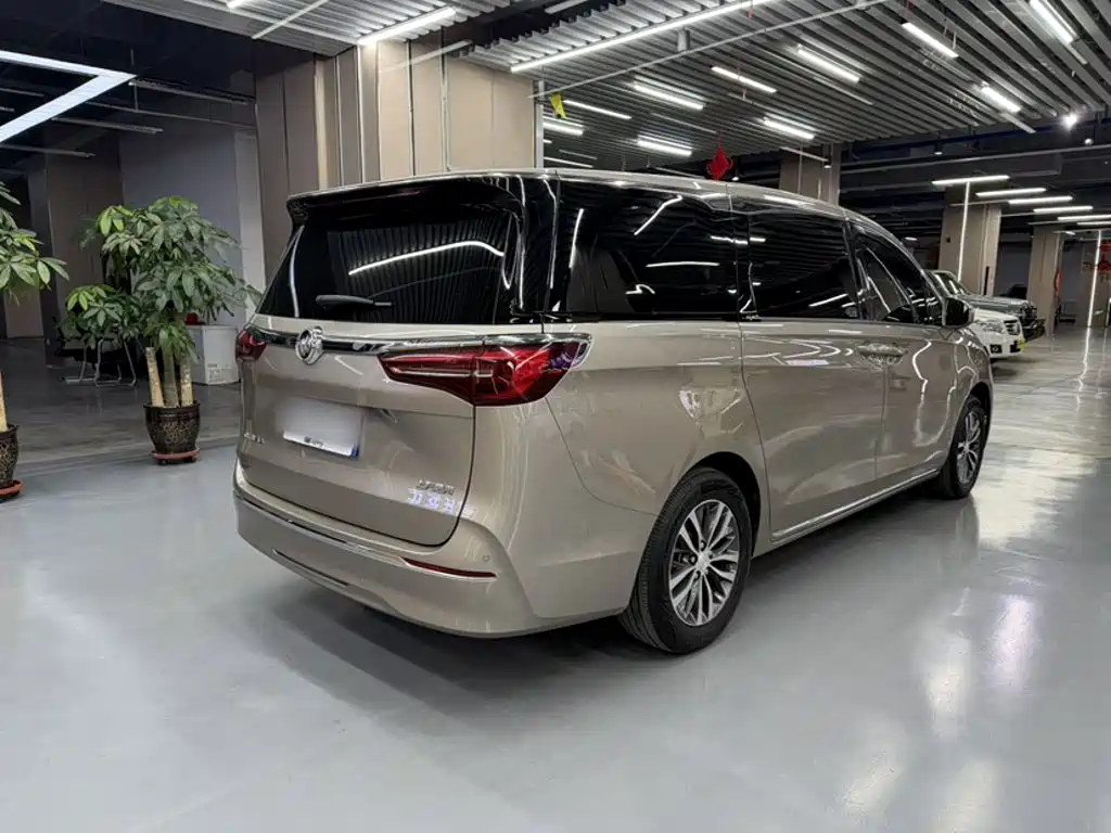 Buick GL8 — миниатюра 7