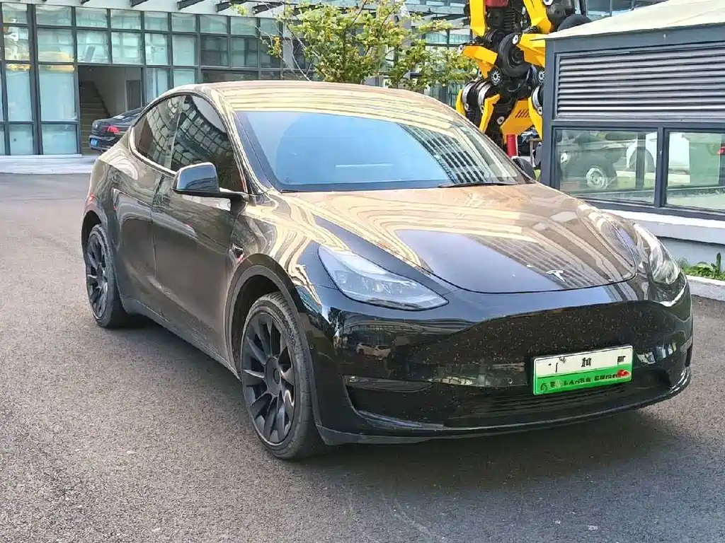 Tesla Model Y — миниатюра 3