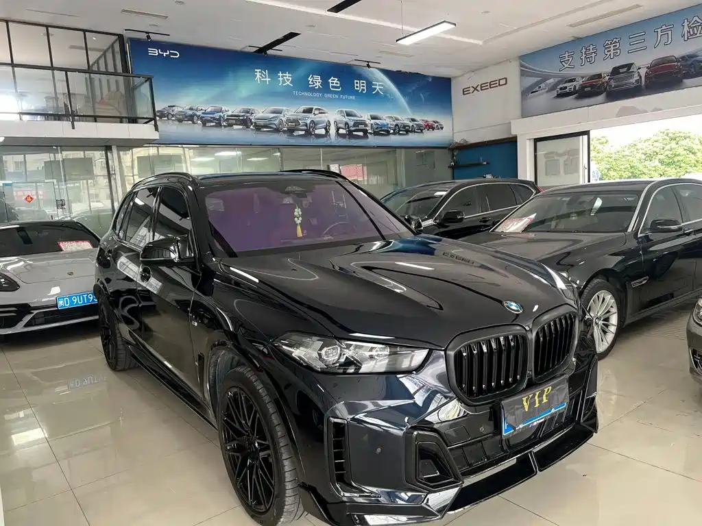 BMW X5 — миниатюра 3