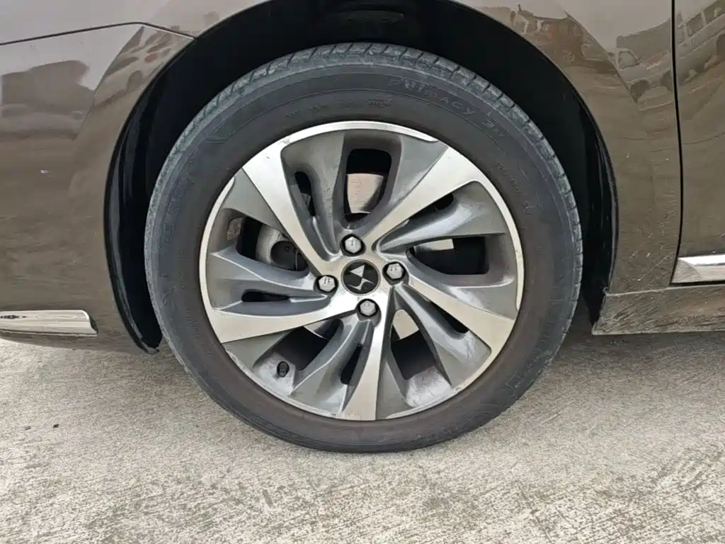 DS DS 5LS — миниатюра 23
