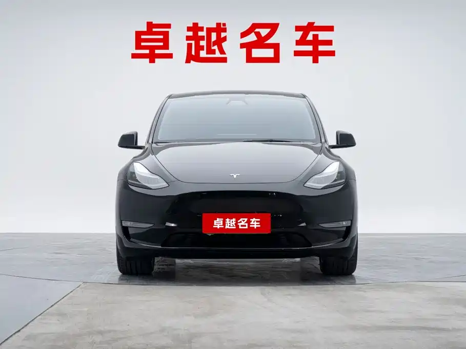 Tesla Model Y — миниатюра 5