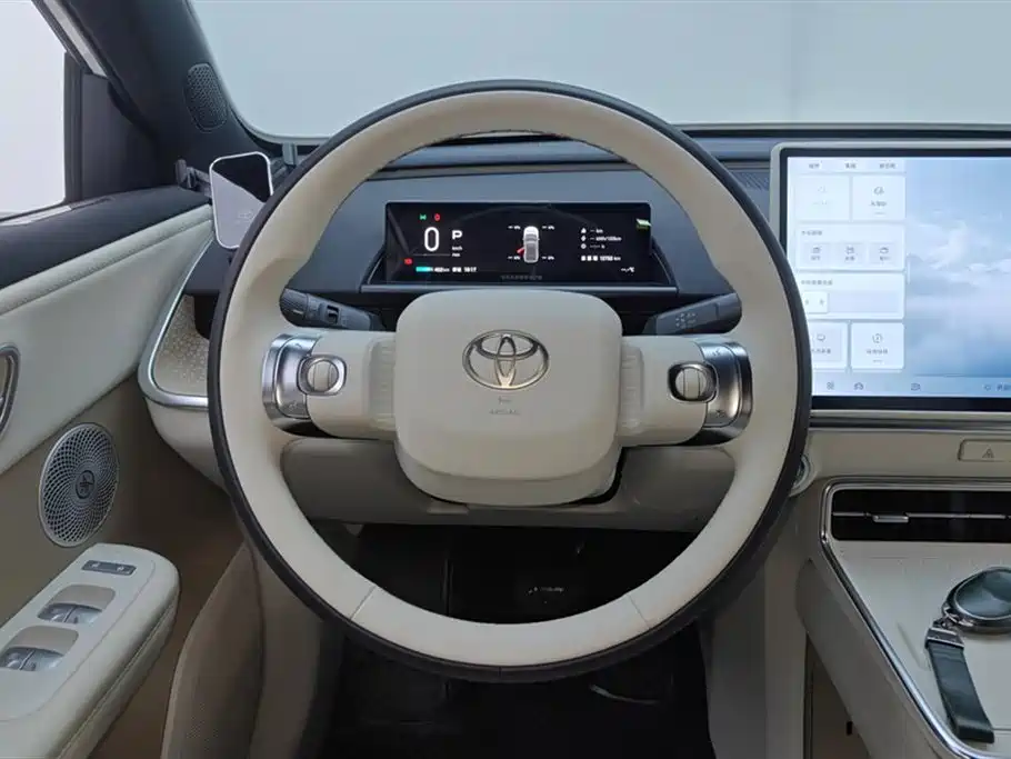 TOYOTA PLATINUM WISDOM 4X