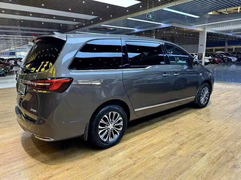 Buick GL8 — миниатюра 6