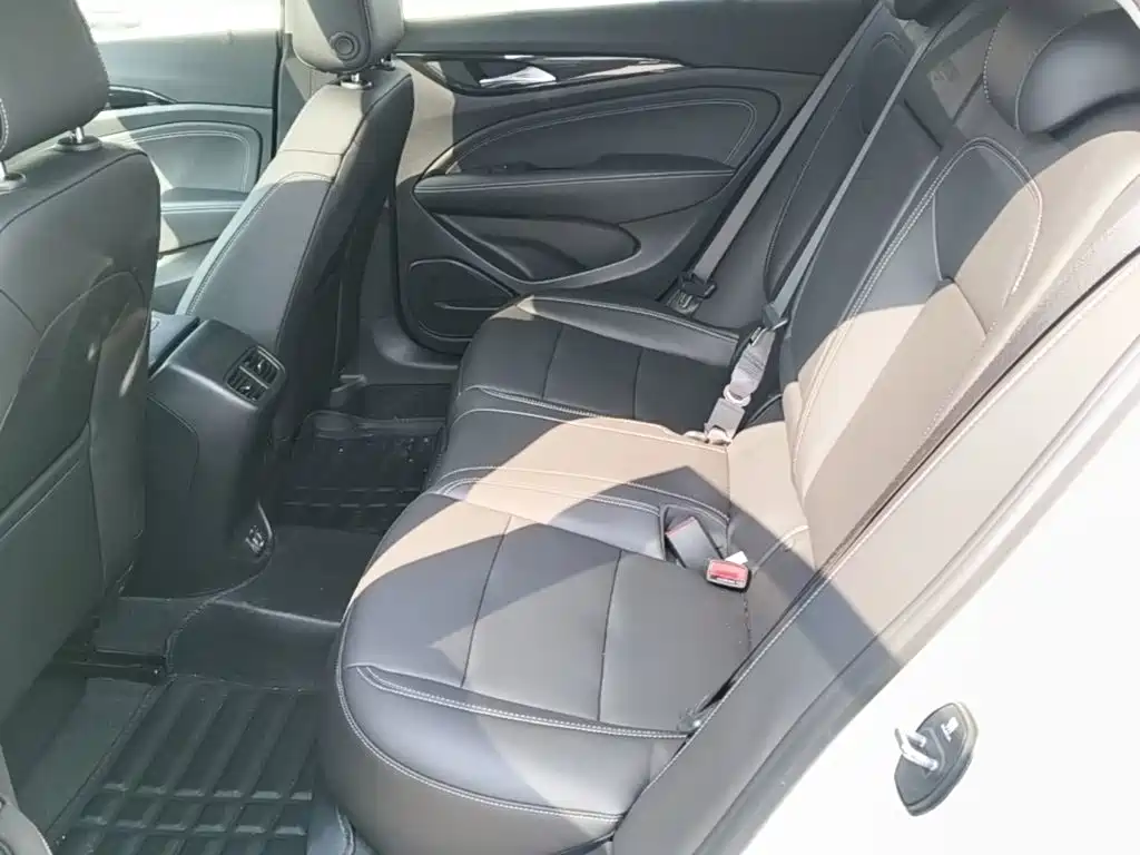 Buick Regal — миниатюра 17