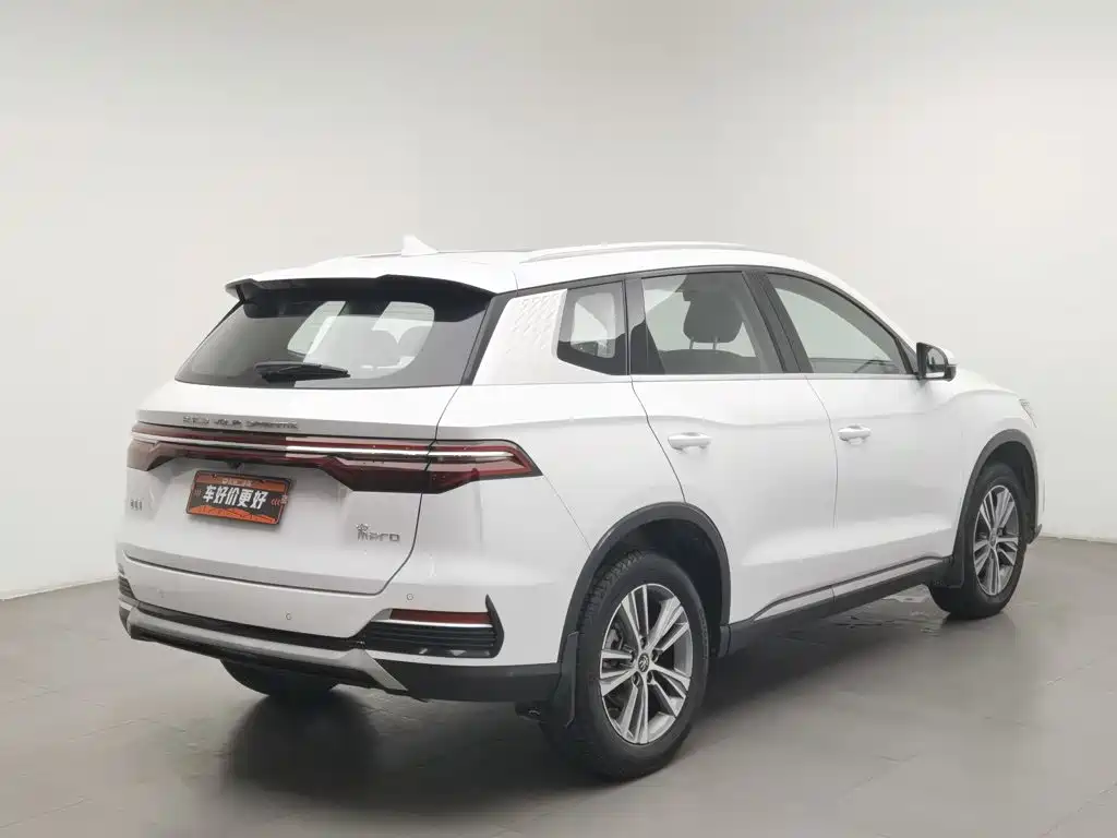 BYD Pro — миниатюра 2