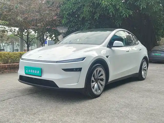 TESLA MODEL Y 2025