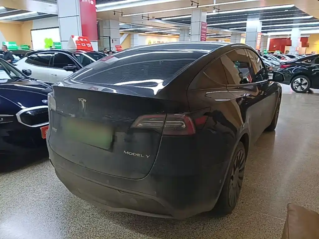 Tesla Model Y — миниатюра 7