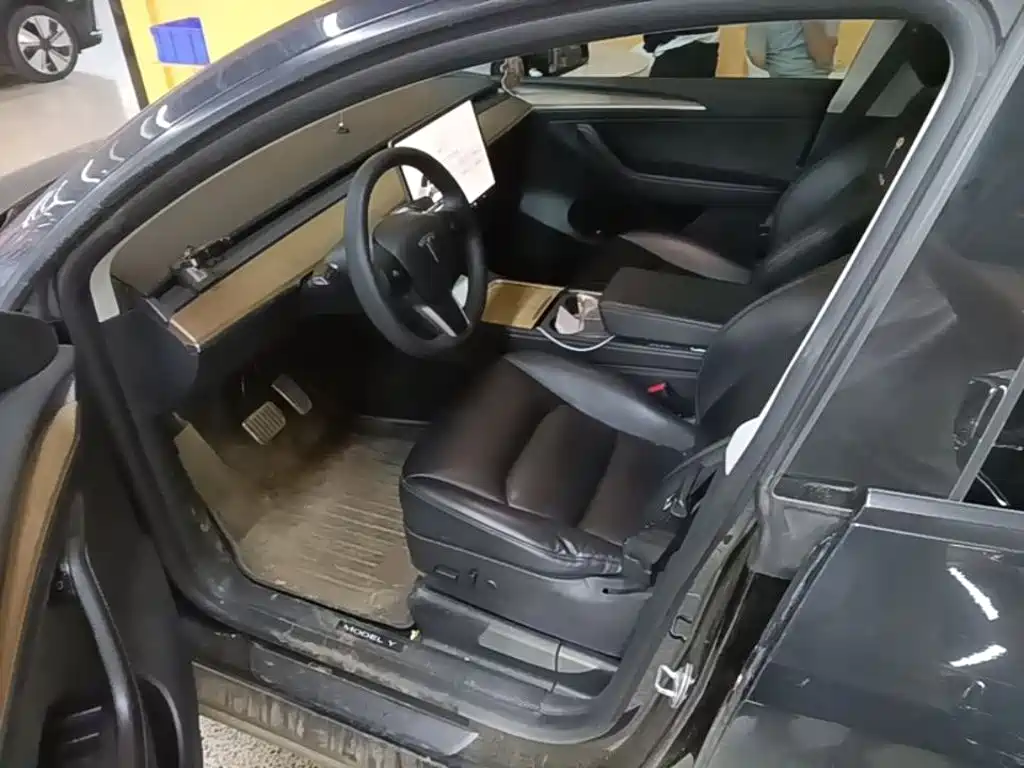 Tesla Model Y — миниатюра 15
