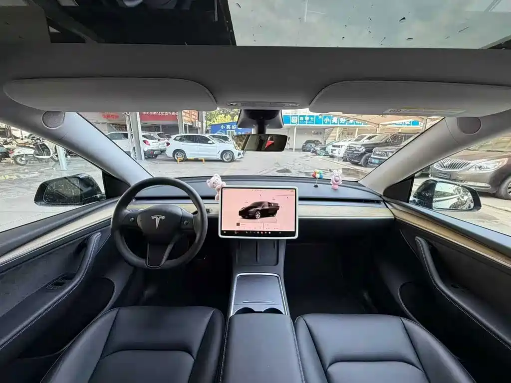 Tesla Model Y — миниатюра 4