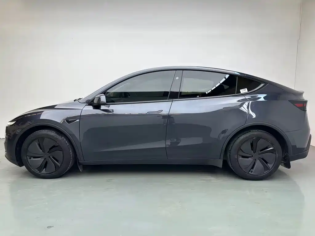 Tesla Model Y — миниатюра 3