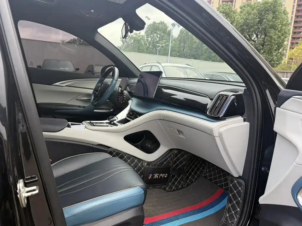 BYD Pro — миниатюра 9