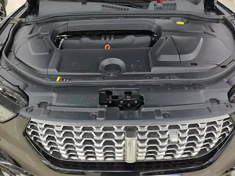 WEI PAI WEI BRAND VV5