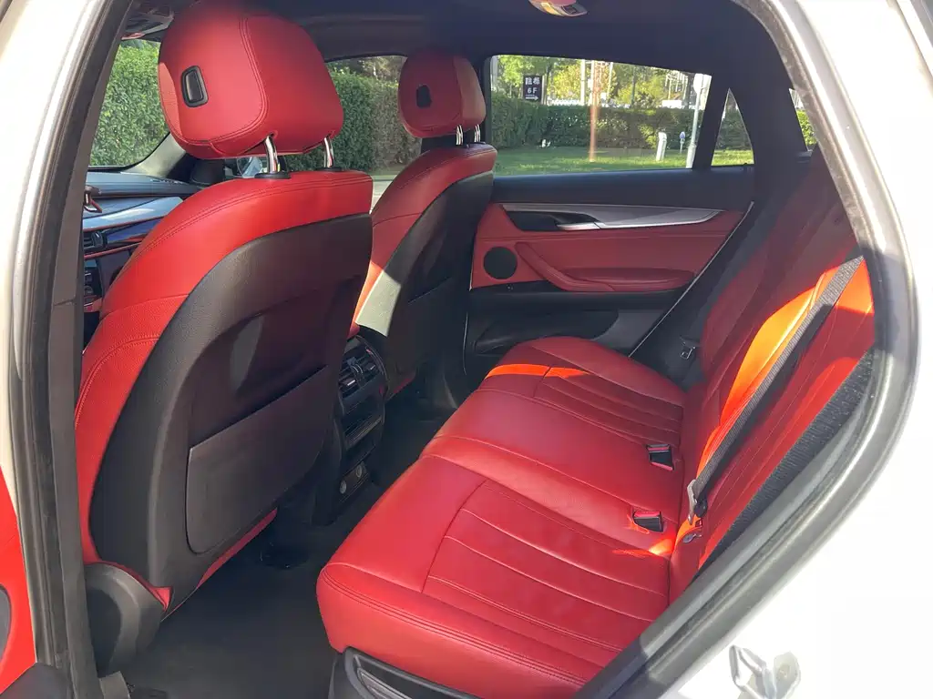 BMW X6 — миниатюра 8