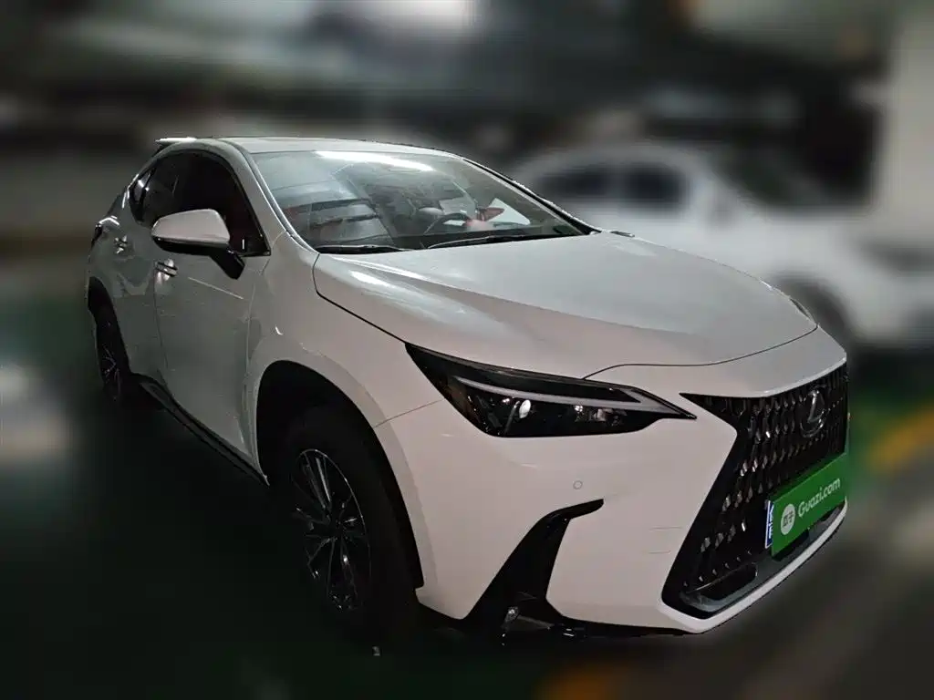 Lexus NX 2025 200 FUN