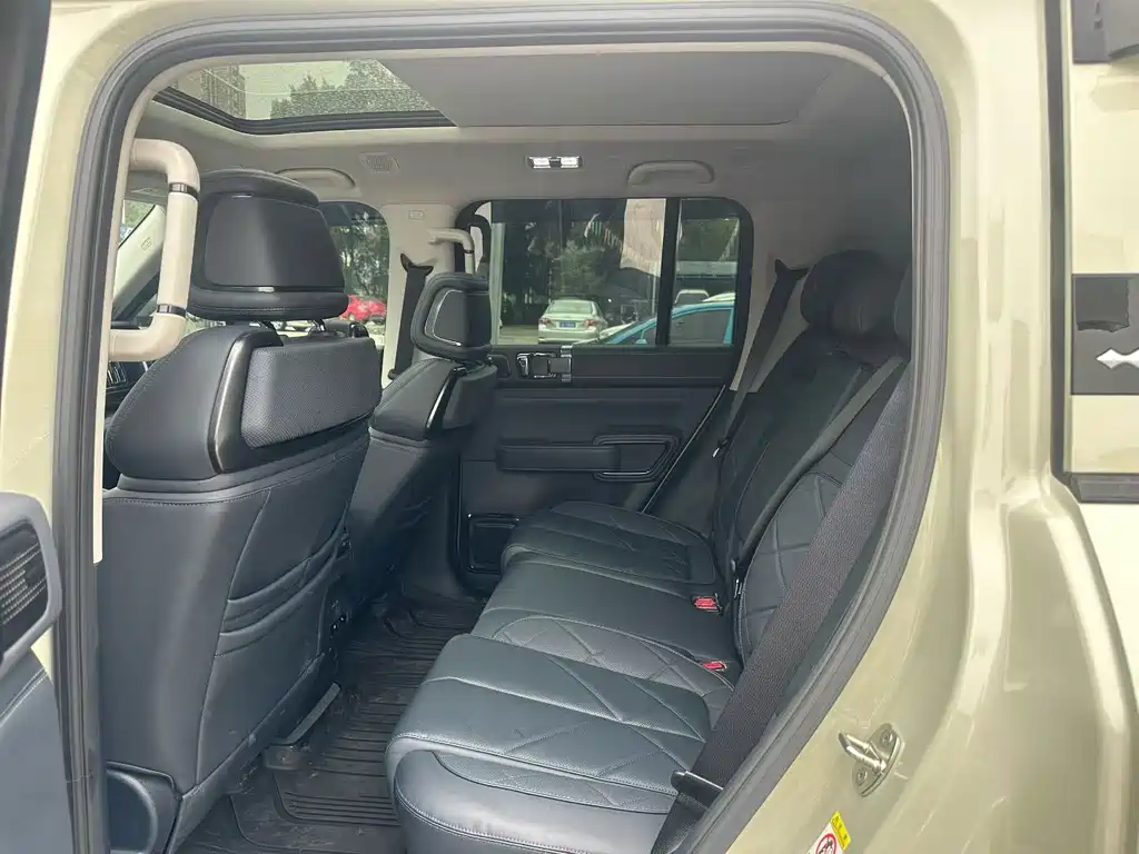 FANG CHENG BAO LEOPARD 5