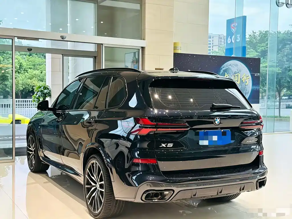 BMW X5 — миниатюра 7