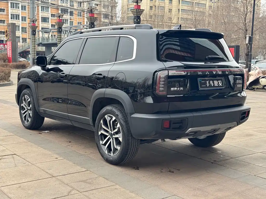 HAVAL BIG DOG