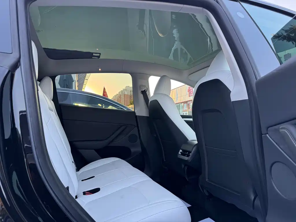 Tesla Model Y — миниатюра 14