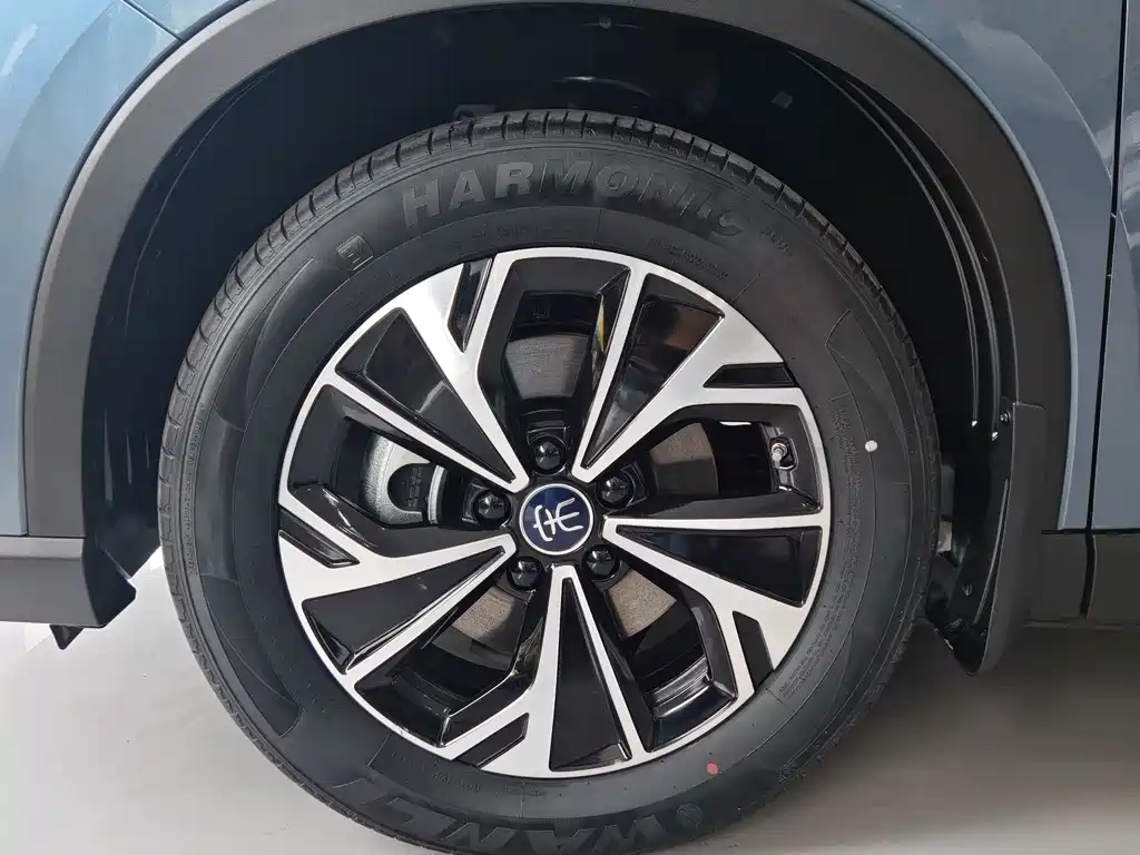 BYD Pro New Energy - фото 10