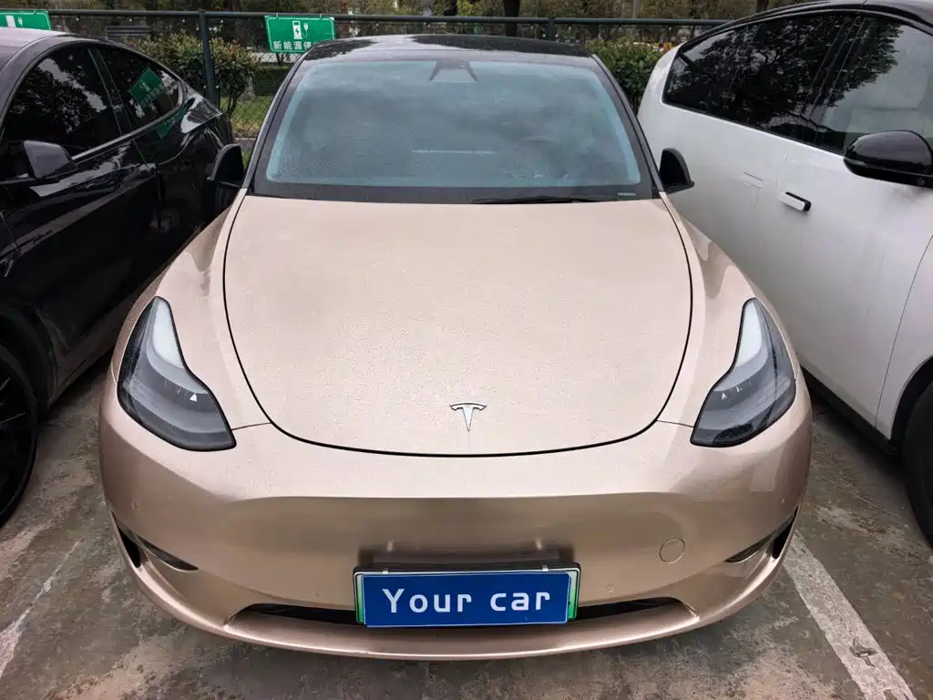 Tesla Model Y — миниатюра 2