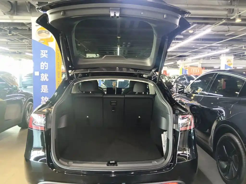 Tesla Model Y — миниатюра 19