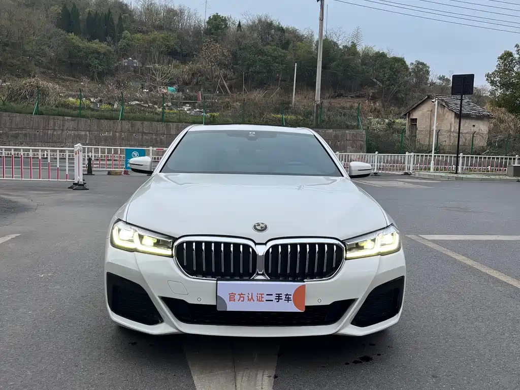 BMW 5 Series (Import) 2021