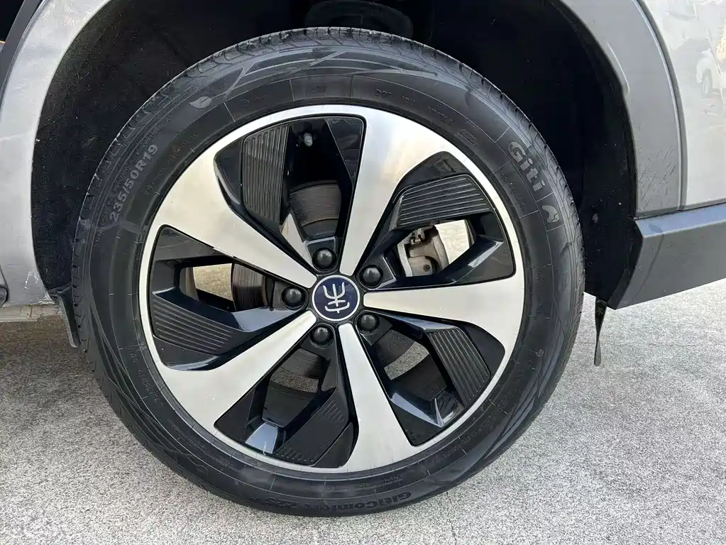 BYD PLUS New Energy — миниатюра 19