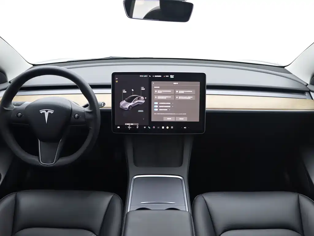 Tesla Model 3 — миниатюра 15