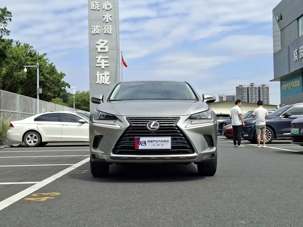 Lexus NX — миниатюра 2