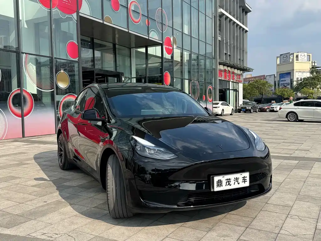 Tesla Model Y — миниатюра 6